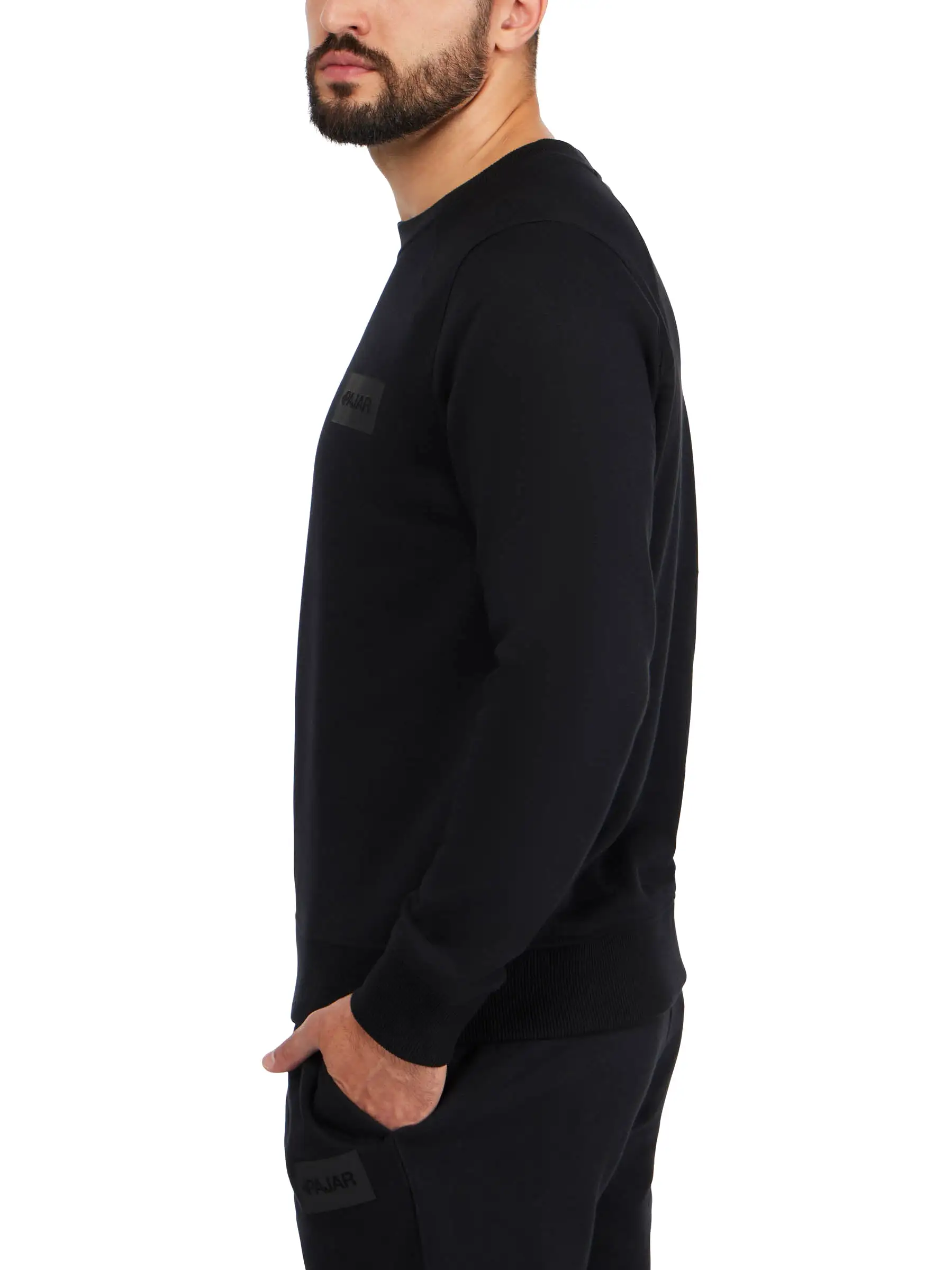 Bear Men's Crew Sweatshirt