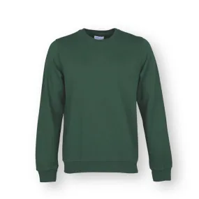 Colorful Standard Crew Sweat emerald green