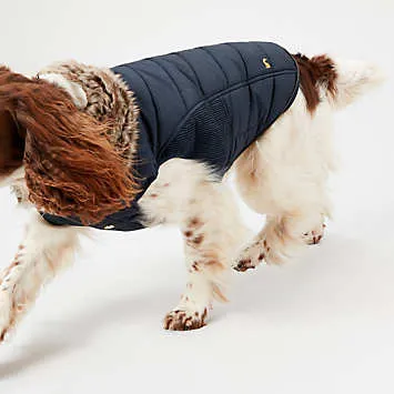 Joules Cherington Dog Coat | Kaleidoscope